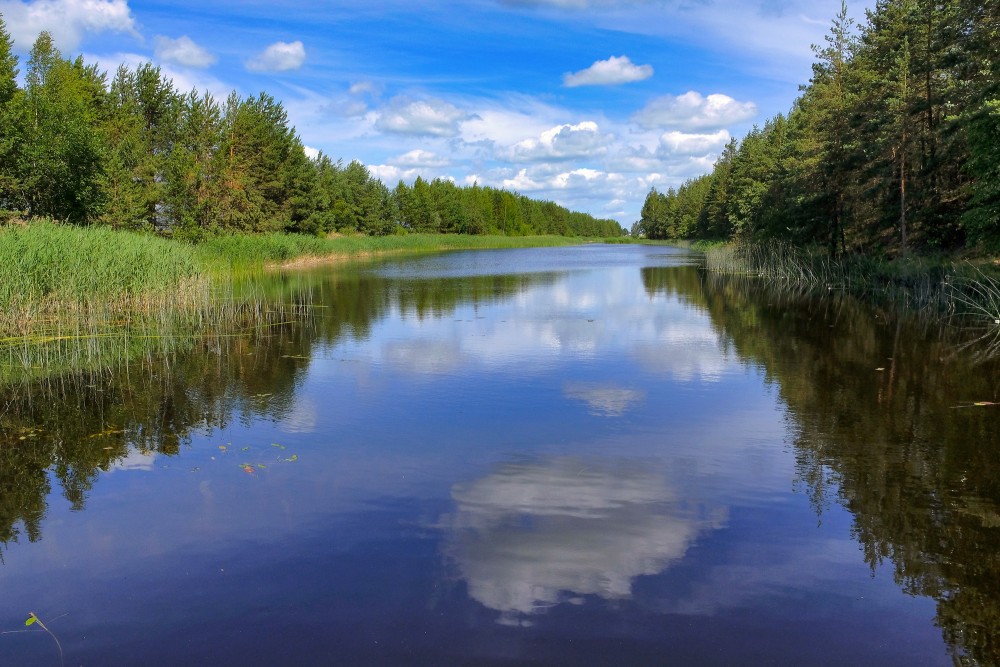 Ezers ar mākoņu atspulgu Žagares osa izziņas takas apvidū