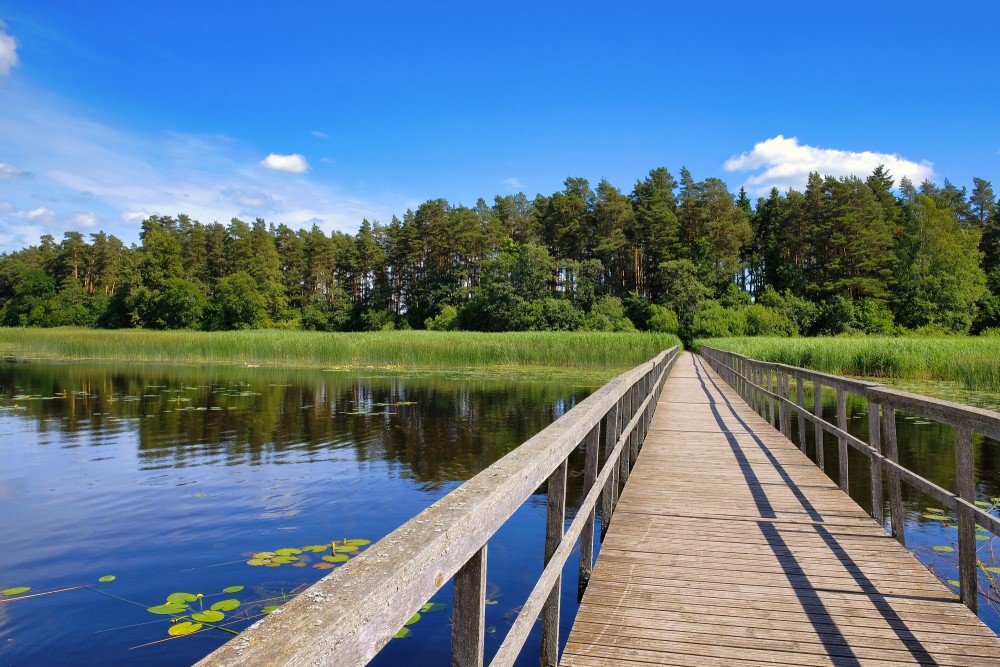 Wooden boardwalk over the lake on Žagare esker educational trail