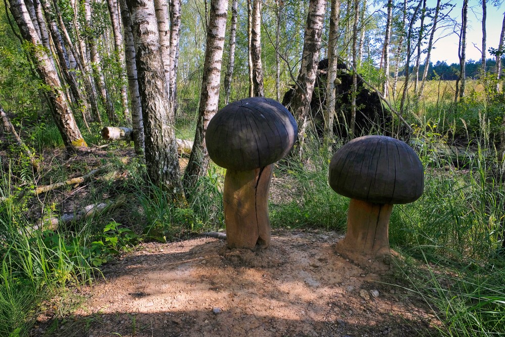 Koka sēņu skulptūras Mūšas tīreļa dabas takas malā
