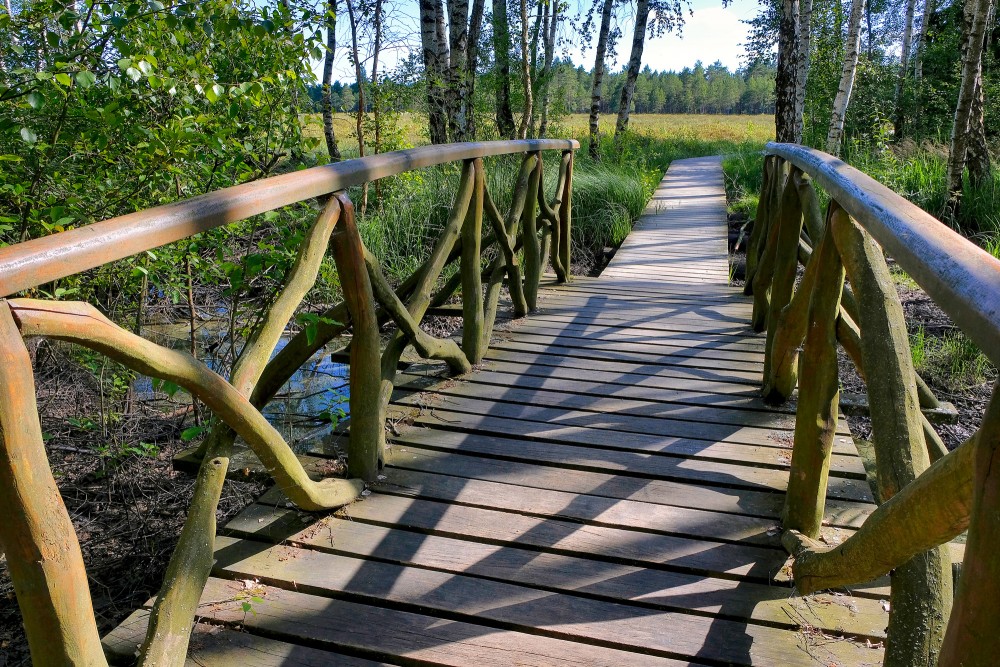Koka tiltiņš ar zara margām Mūšas tīreļa dabas takā