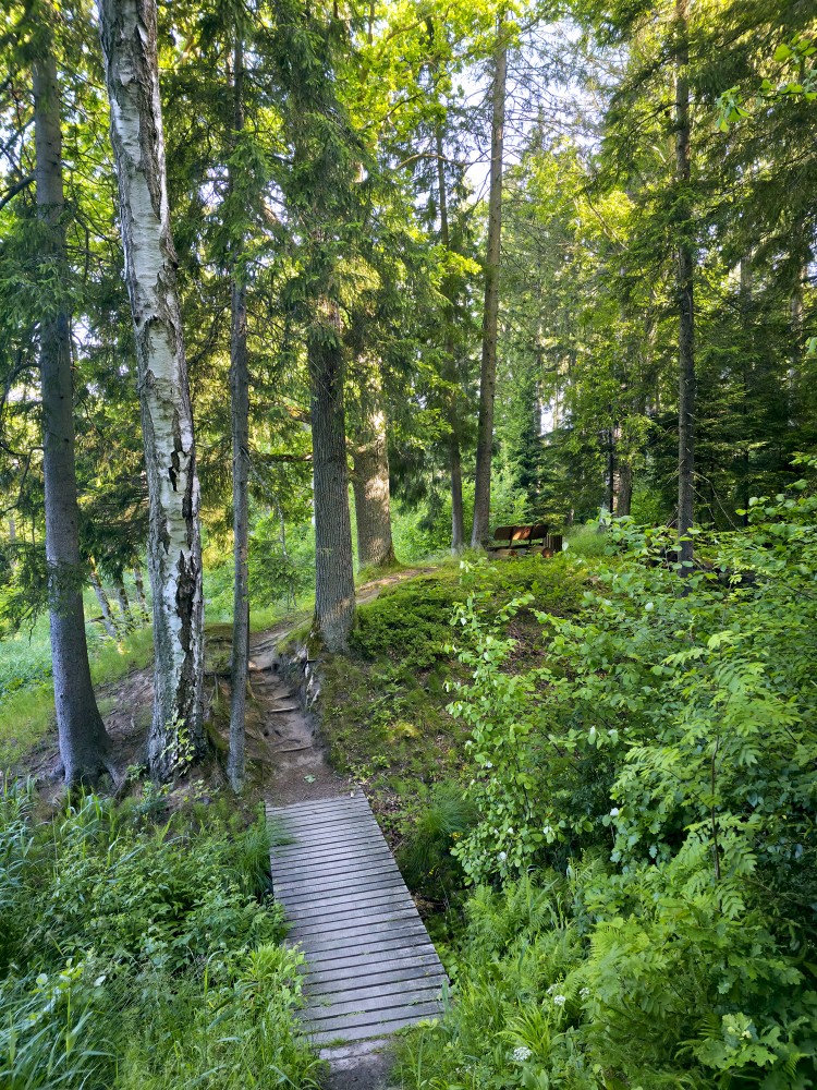 Cīrava Forest Park Trail