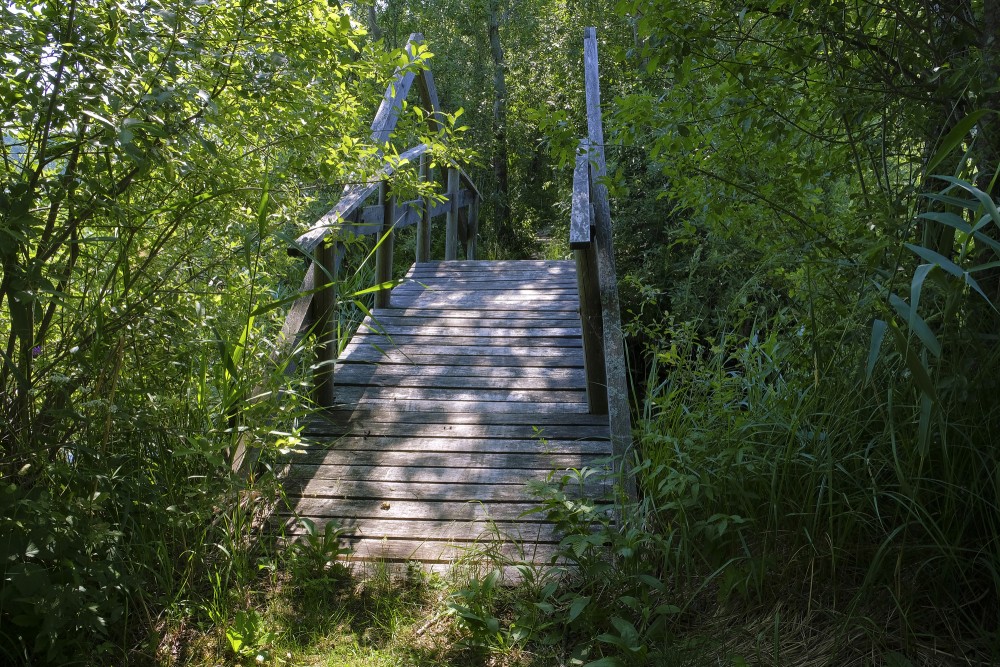 Tiltiņš Dziļezera - Riebezera dabas takā