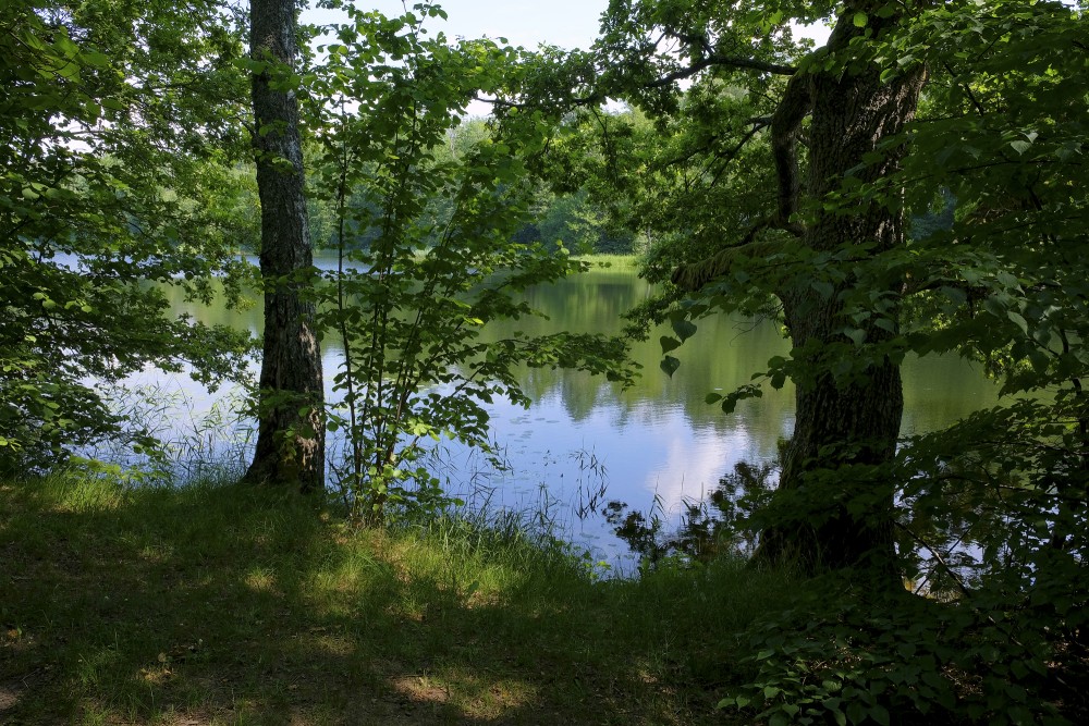 Ejot pa Dziļezera - Riebezera dabas taku