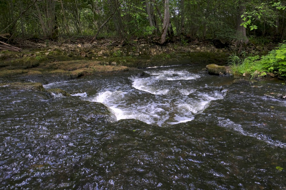 Nelieli ūdenskritumi Vizlas upē