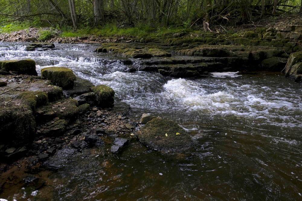 A Small Waterfall on the Vizla River