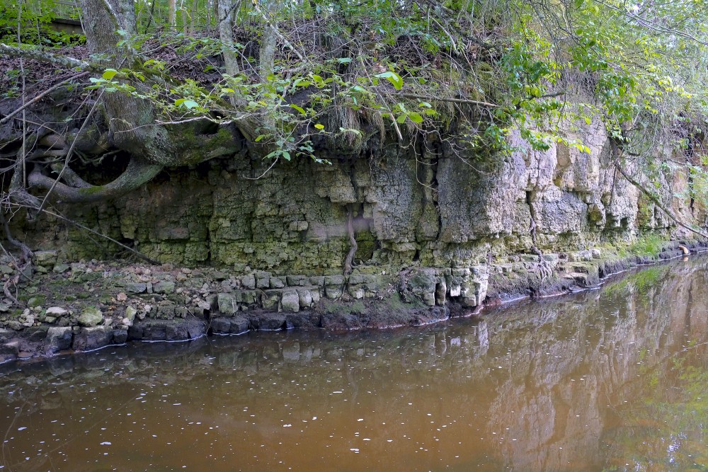 Dolomīta atsegumi Vizlas upes krastā