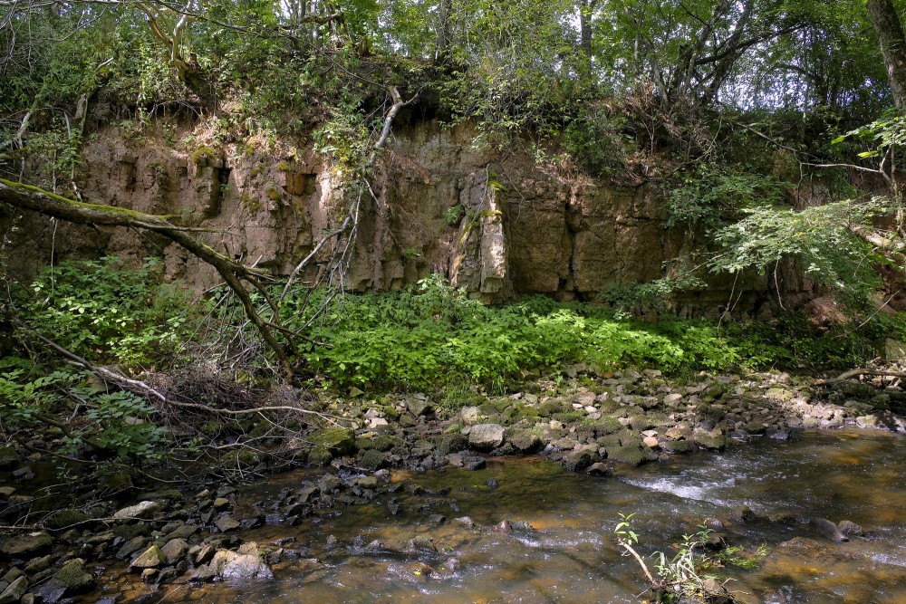 Dolomīta atsegumi Vizlas upes krastā
