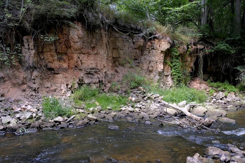 Dolomīta atsegumi Vizlas upes krastā