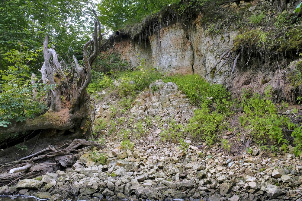 Dolomīta atsegumi Vizlas upes krastā