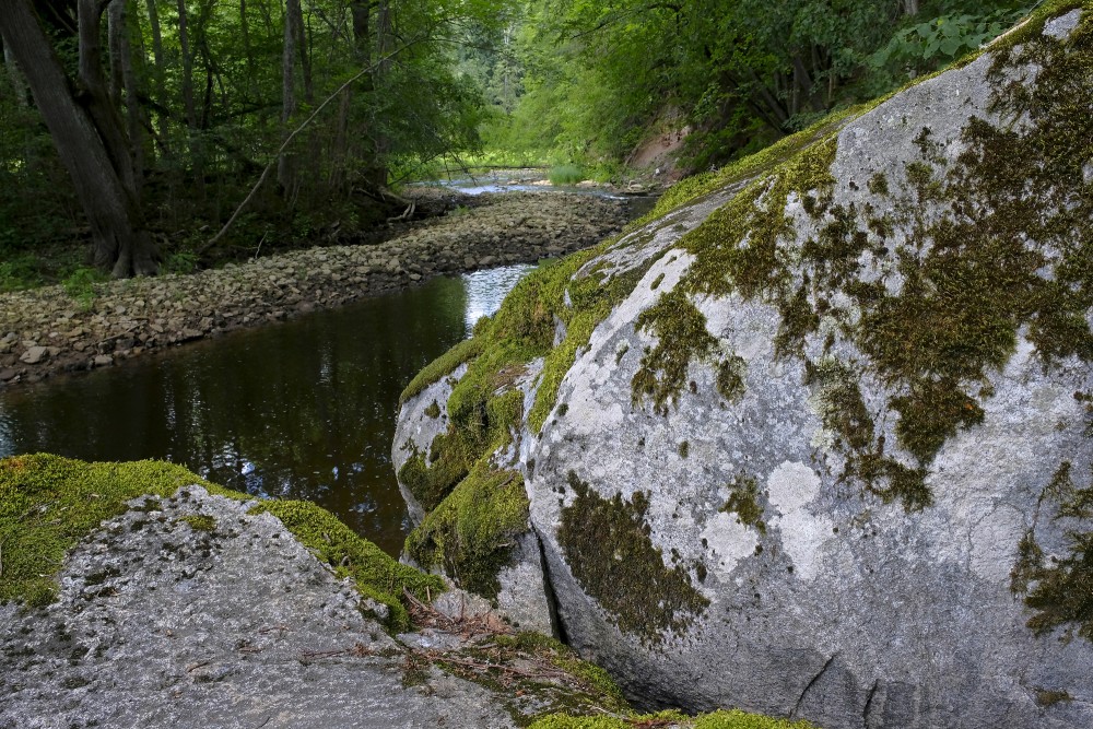Skats no Vizlas dižakmeņa