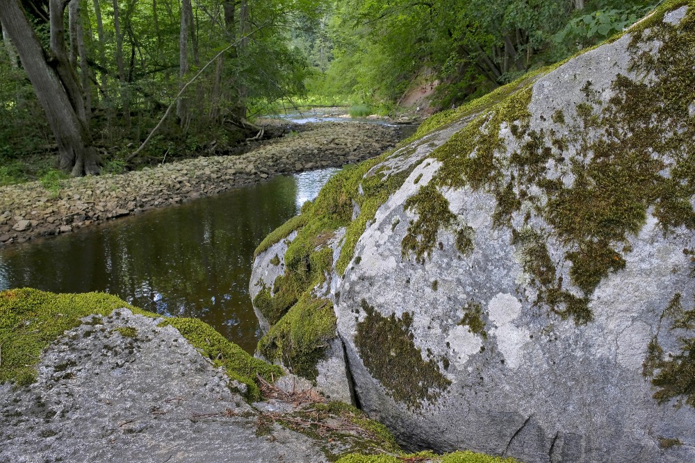 Skats no Vizlas dižakmeņa