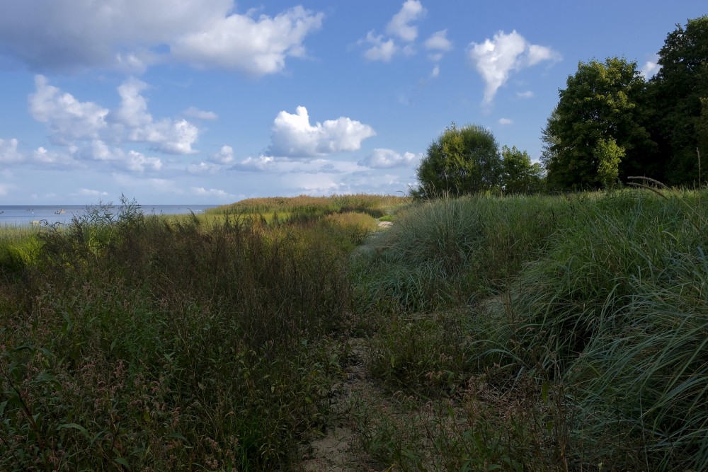 Kaltene Bird Trail