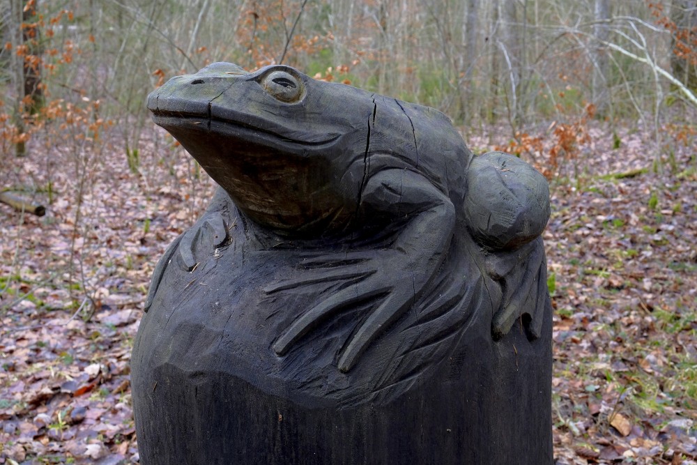 Frog Sculpture In Kalēti Forest Park