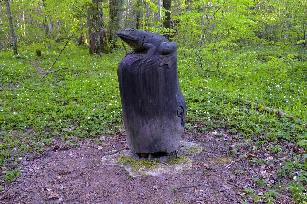 Frog Sculpture In Kalēti Forest Park