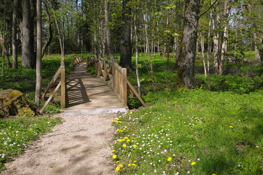 Tiltiņi Remtes muižas parkā