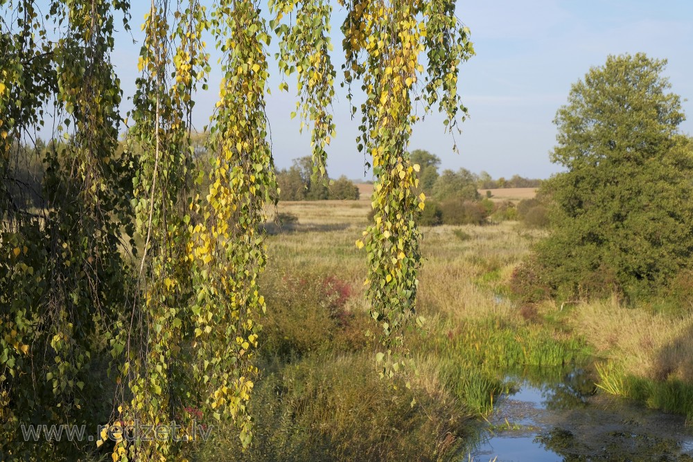 Autumn Landscape at Zalenieki