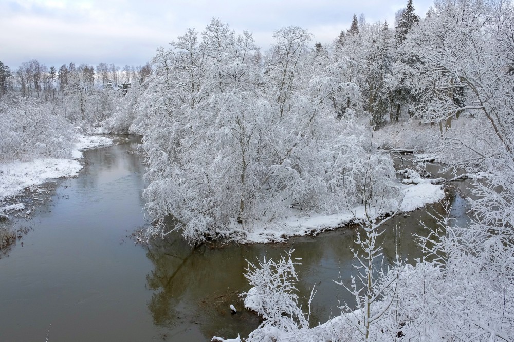Durbes upe ziemā pie Cīravas mežaparka