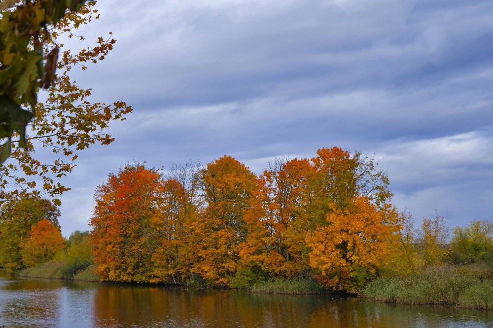 Rudens Ainava Driksas krastā