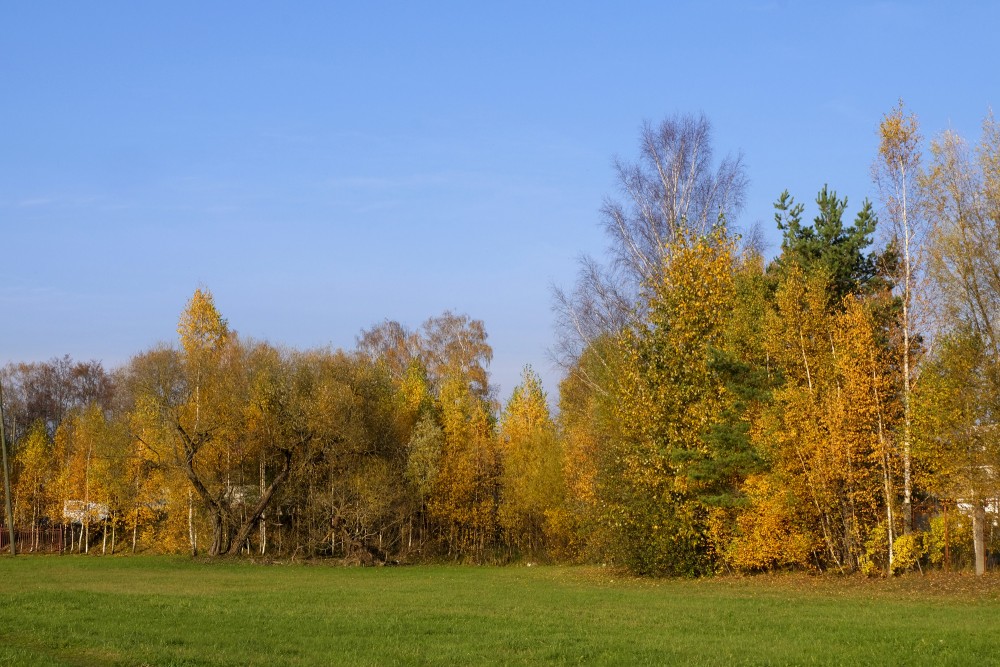 Autumn Landscape