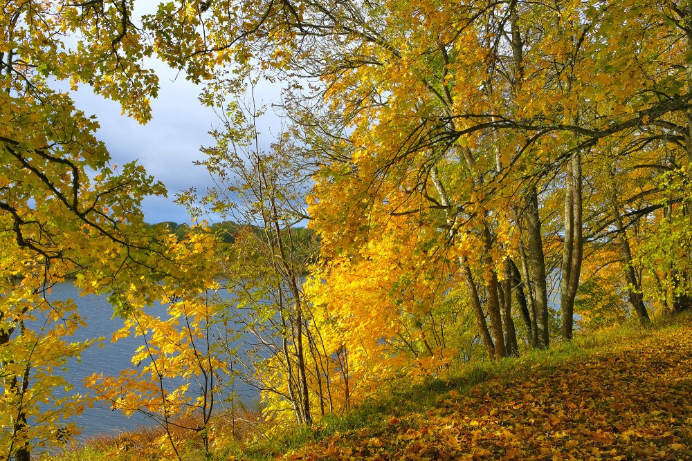 Parks pie Landzes baznīcas Parks pie Landzes baznīcas