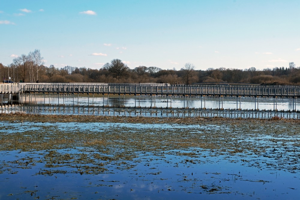 Spring Landscape in Meadows of Svete Floodplain