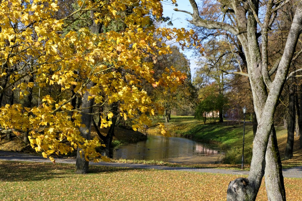 Pilssalas kanālmala rudenī