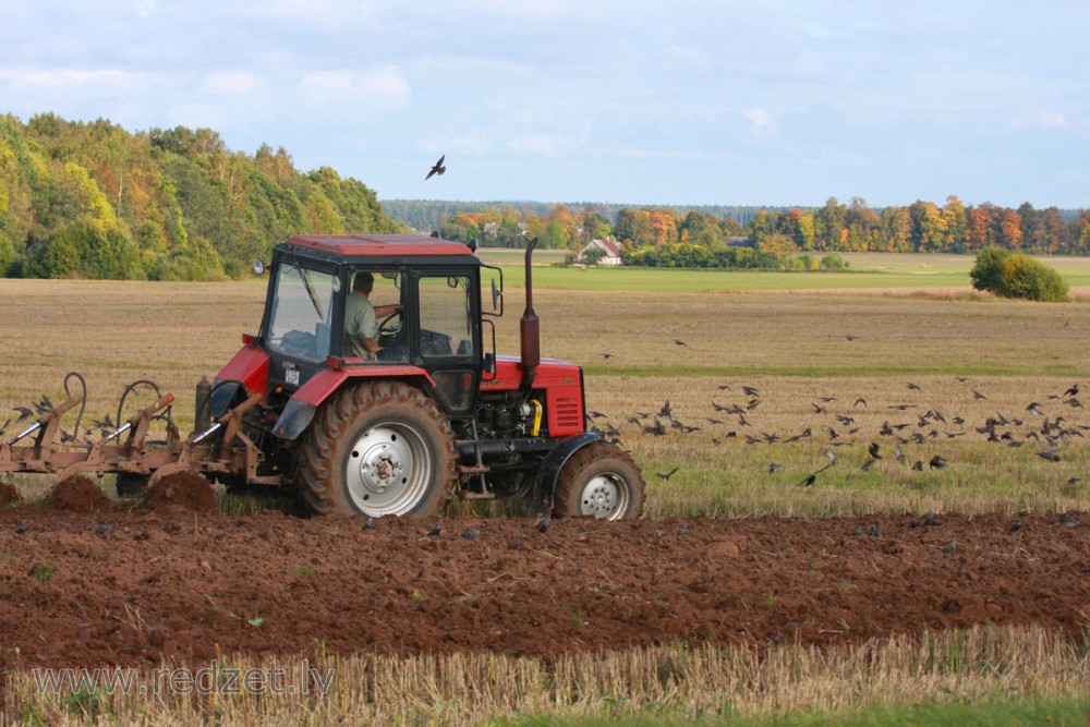 Rural Landscape with a Tractor