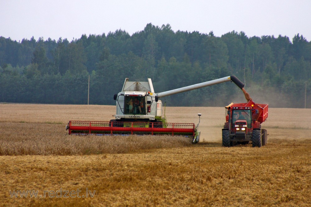 Harvesting with a Combine