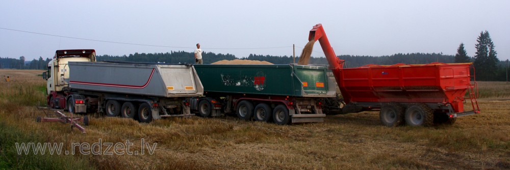 Combine Harvester bulking Grain in a Truck
