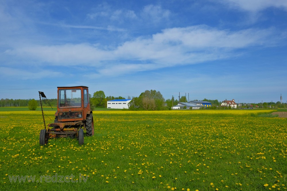 Traktors T-16 ar izkapti laukos