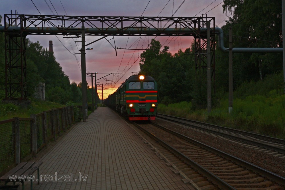 Freight Train