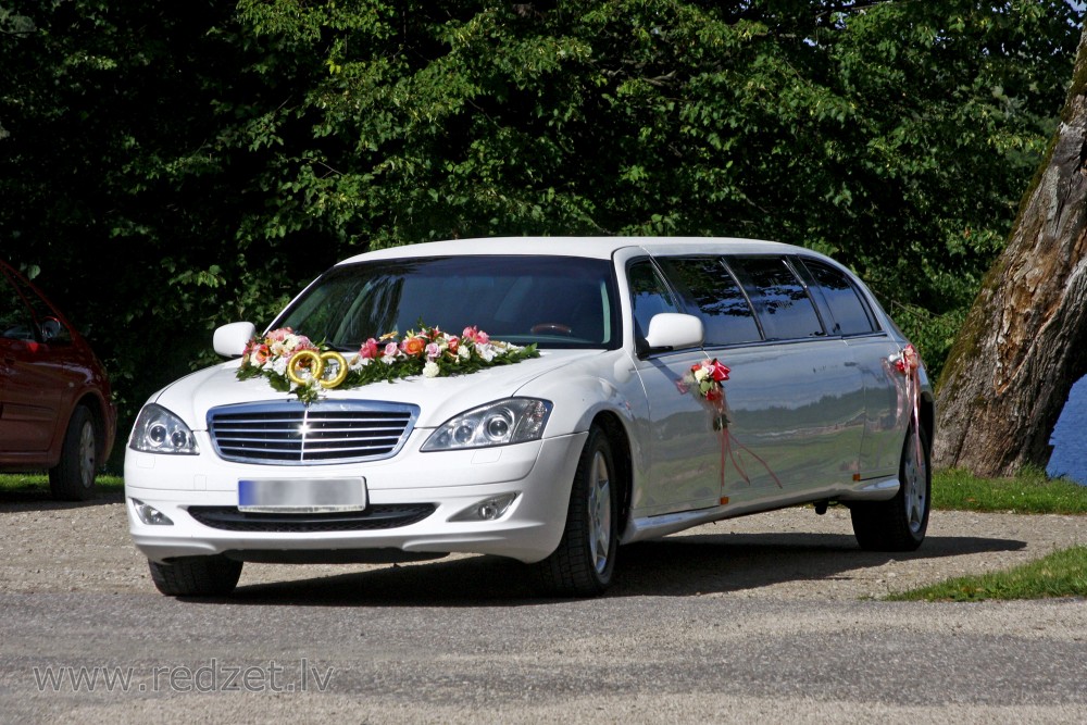 Limousine
