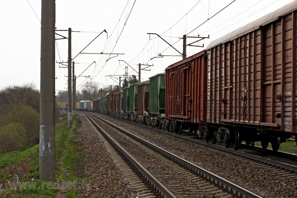 Freight Train