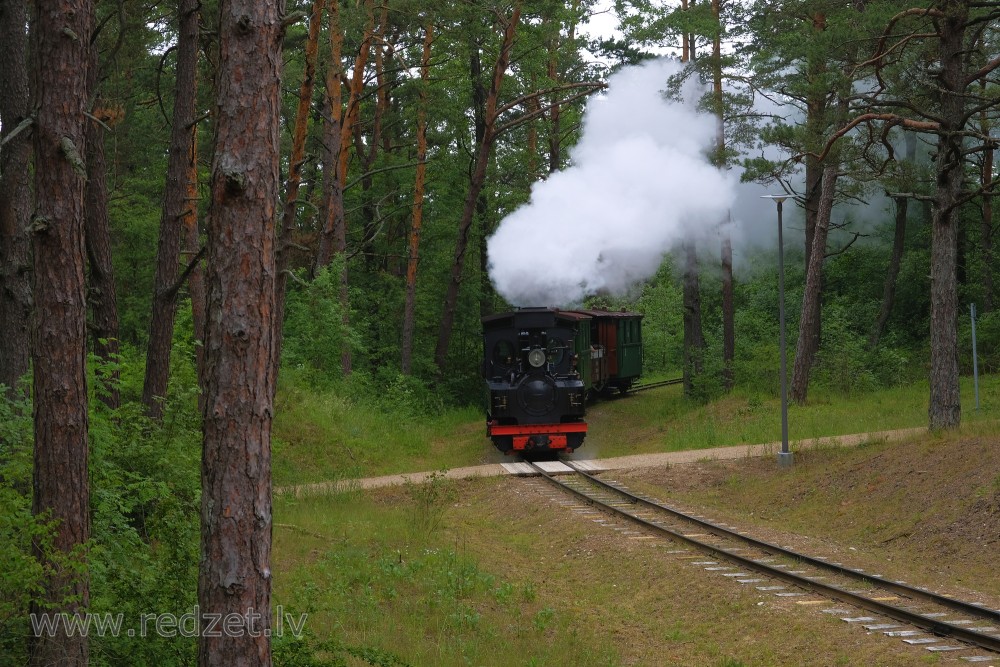 Mazbānītis kursē Ventspils Jūrmalas parkā