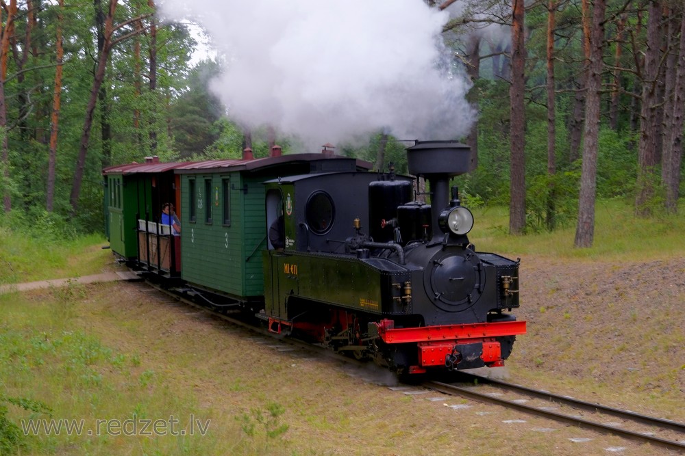 Narrow Gauge Train in Ventspils Seaside Open Air Museum