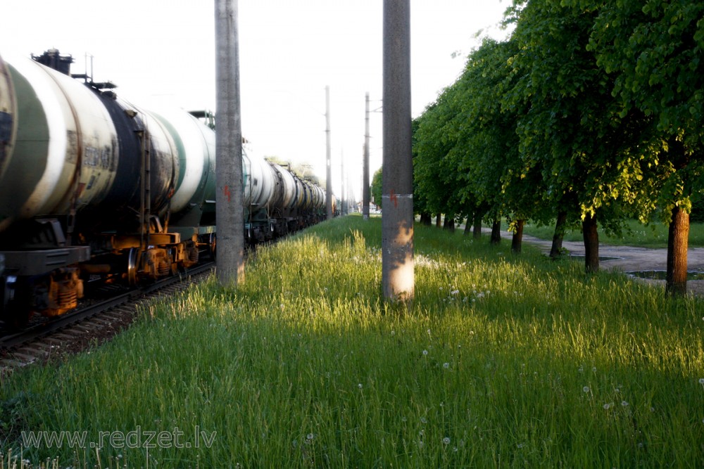 Freight Train