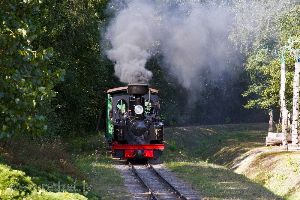 Ventspils šaursliežu dzelzceļš