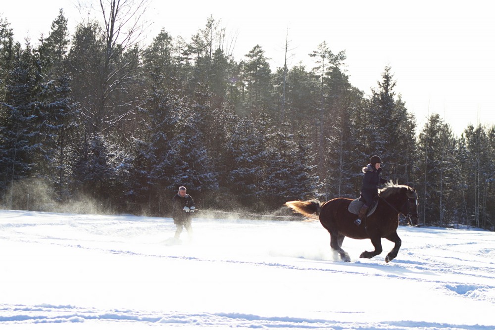 Skijorings