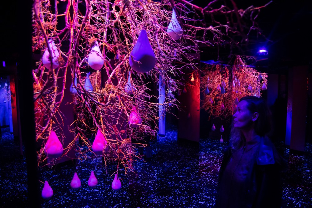 Piedzīvojums Kuldīgā, Visumnīca