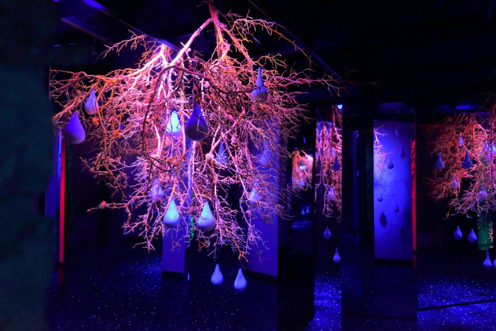 Izklaides telpa Kuldīgā