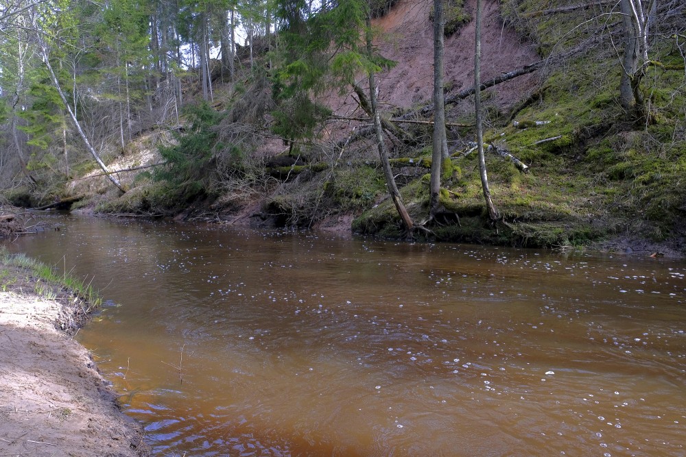 Viesata River in Spring