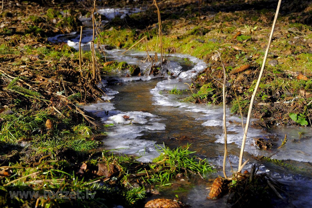 Stream and Frozen Water