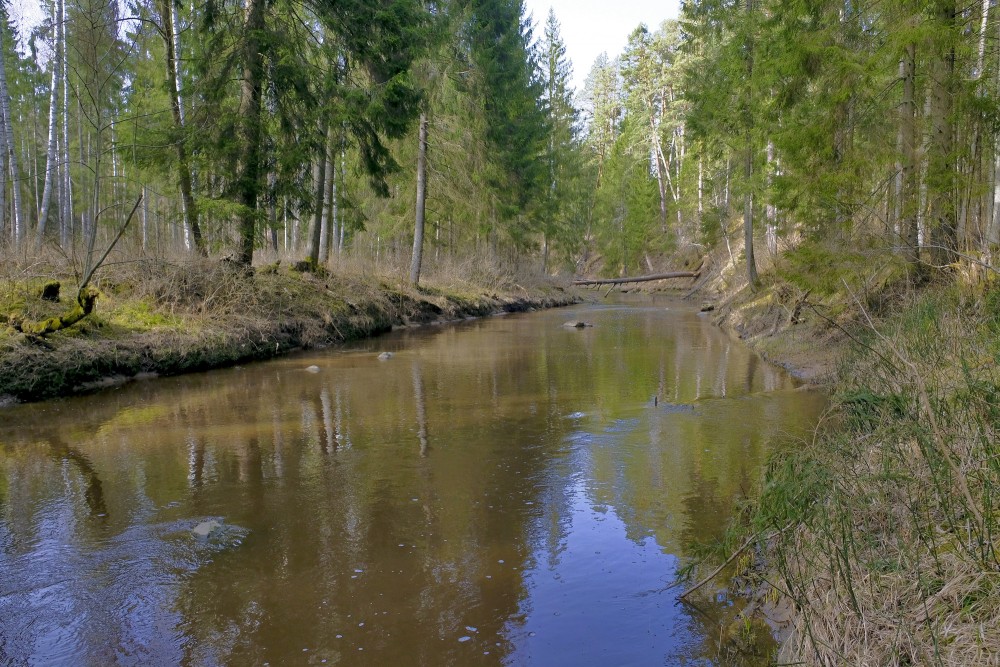 Dabas un izziņas taka Viesatas upesloki
