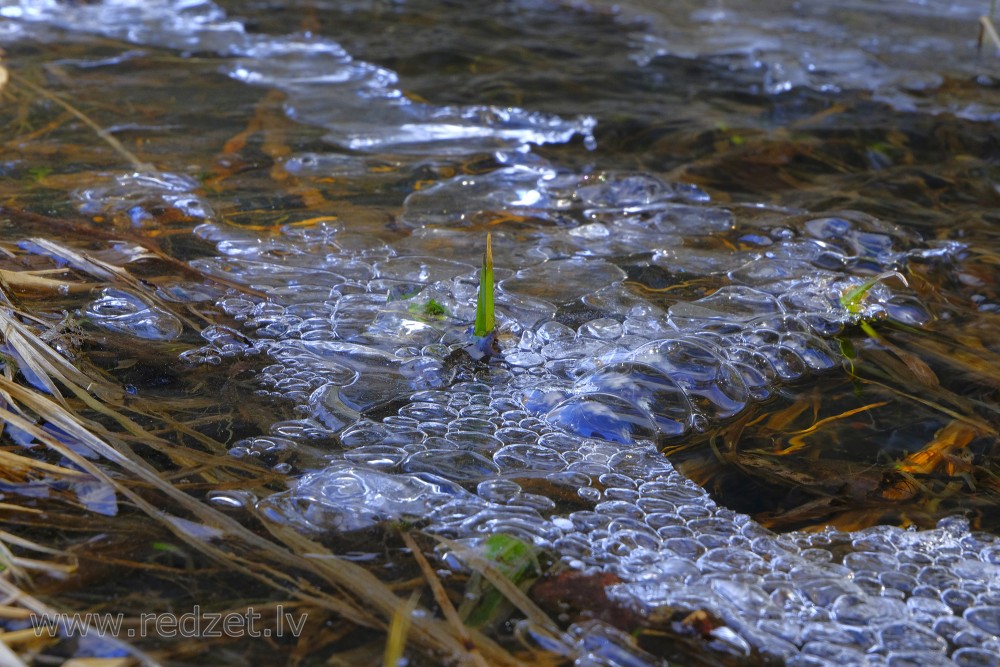 Stream in Spring