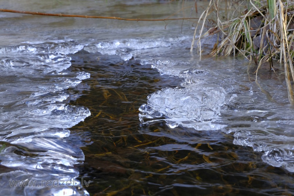 Ledus uz strautiņa pavasarī