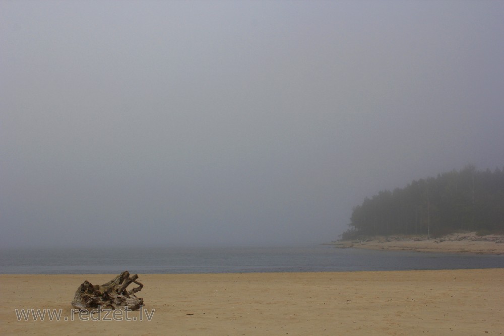 River mouth of Gauja in a Foggy Autumn Day