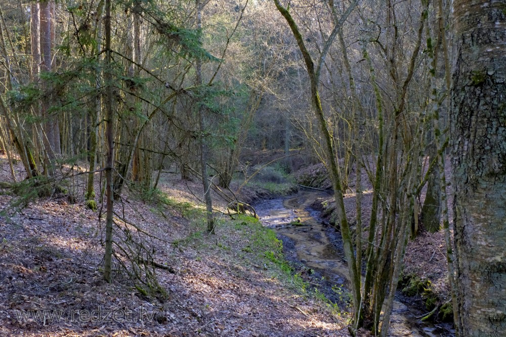 Melnupīte (Black River) in Black Valley at Tervete Nature Park