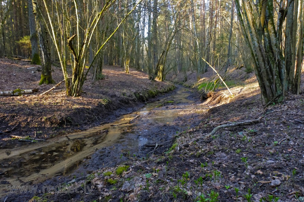 Melnupīte (Black River) in Black Valley at Tervete Nature Park