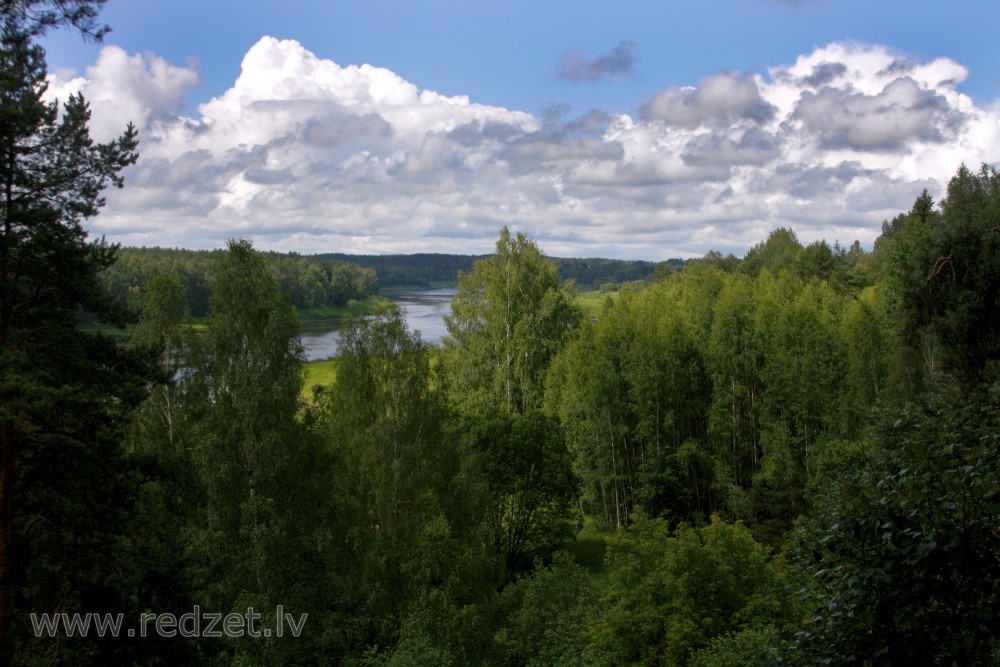 Skats uz Daugavu no Vasargelišķu skatu torņa