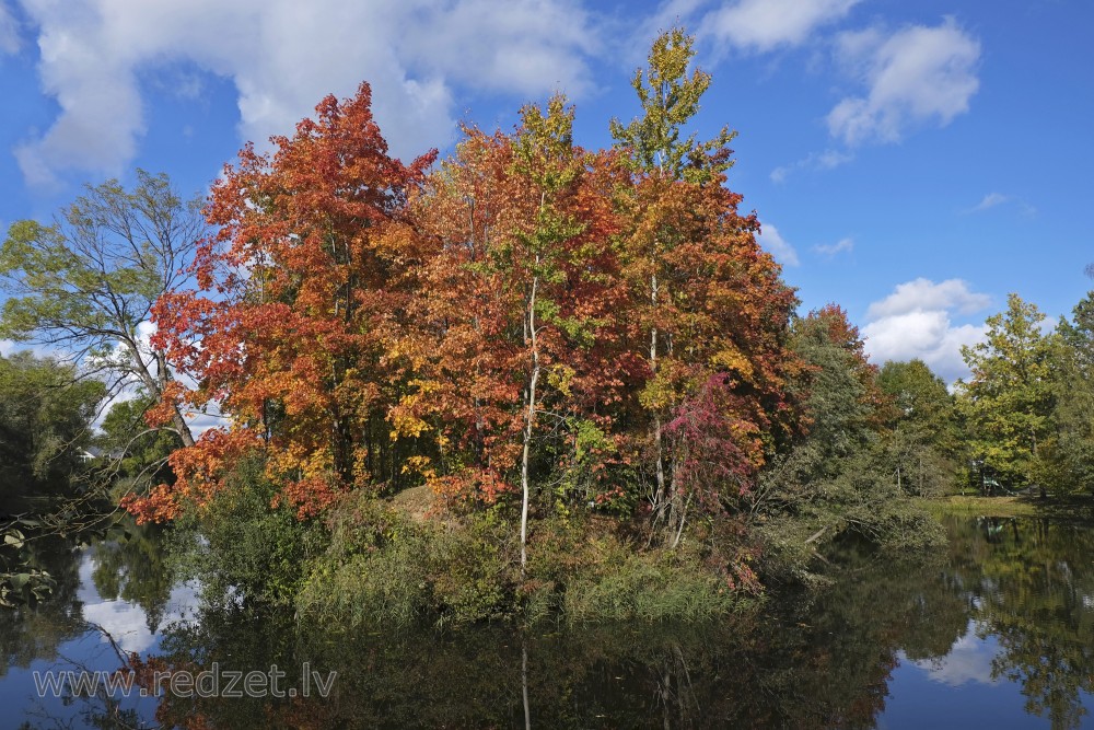 Autumn splendor on Iecava Riverside in Ozolnieki